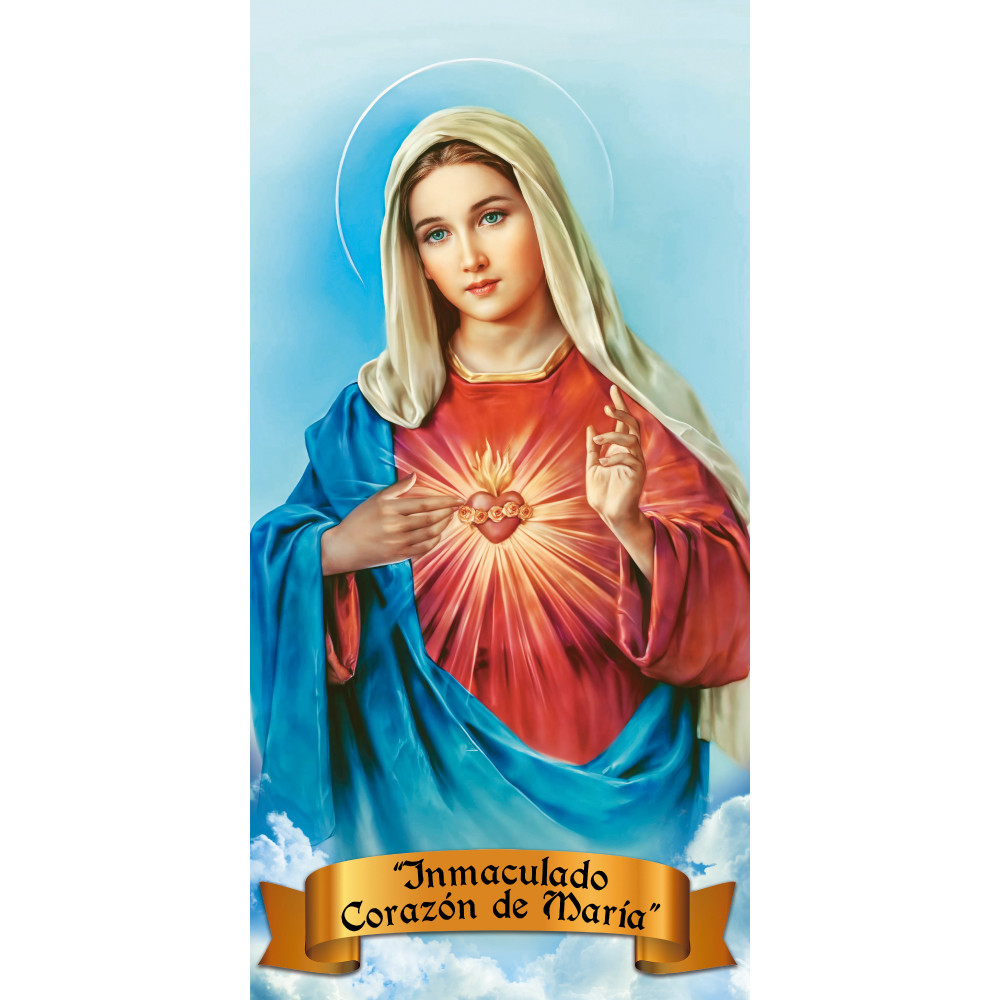 Imagen Inmaculada Corazón