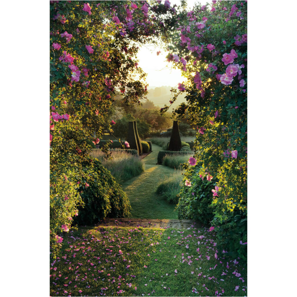 PAISAJE VERDE