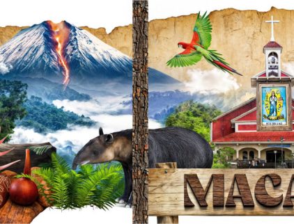 MURAL MACAS