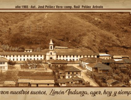 LIMON INDANZA