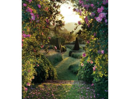 PAISAJE VERDE